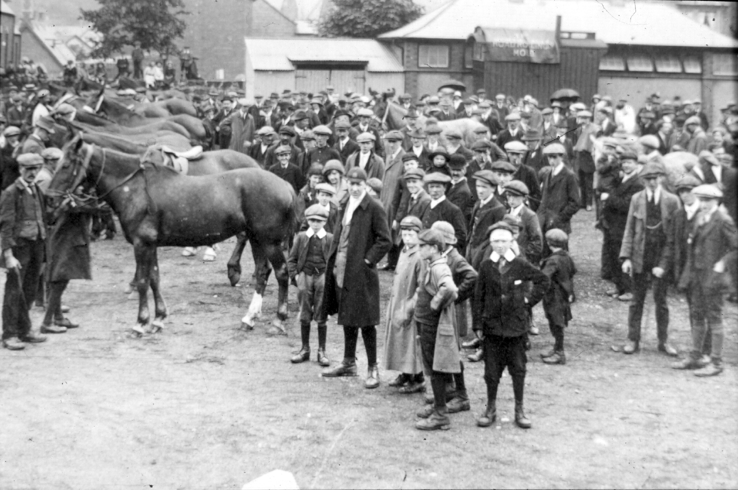 Requisitioning horses - first world war